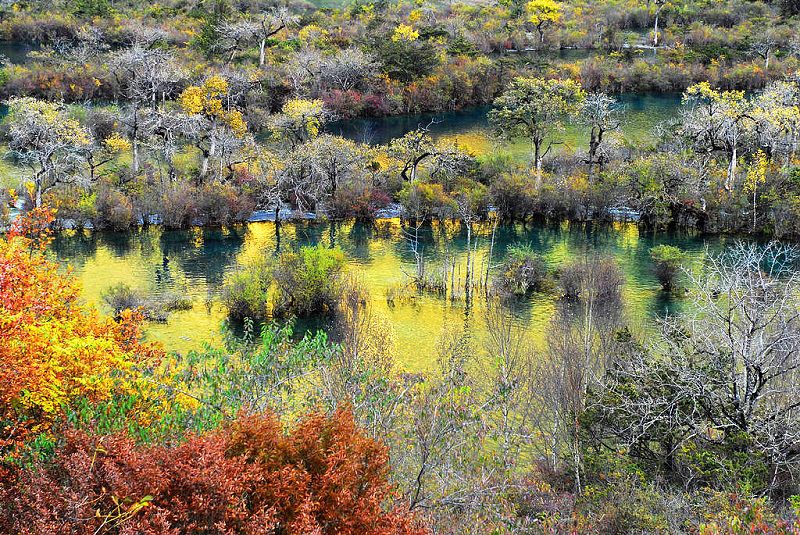 DSC_0348a.jpg
