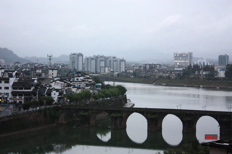 449.JPG