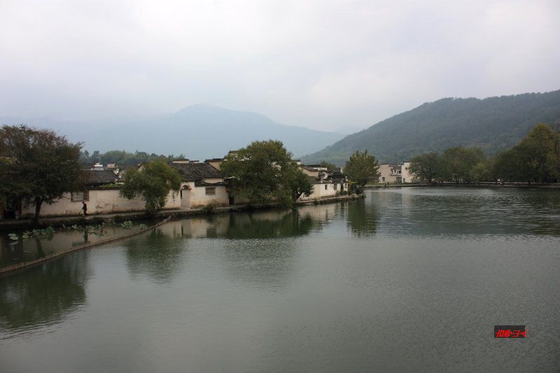 池搪绿影