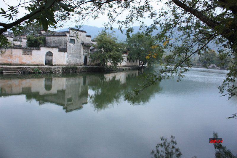 519.JPG