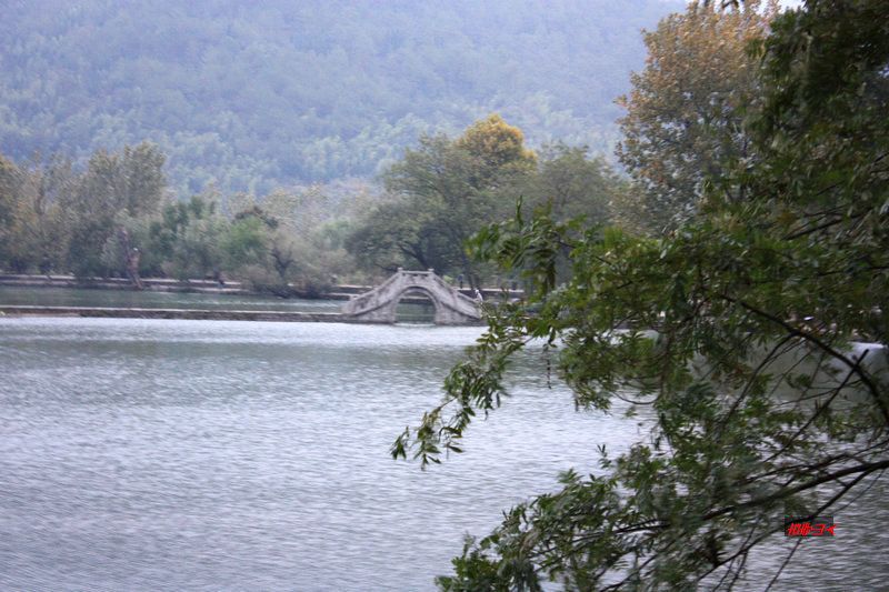 池搪