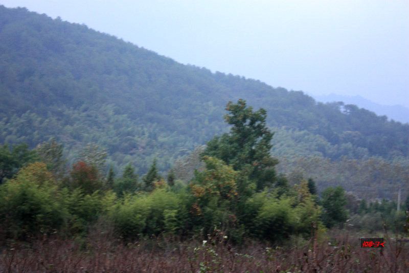 宏村外的风景