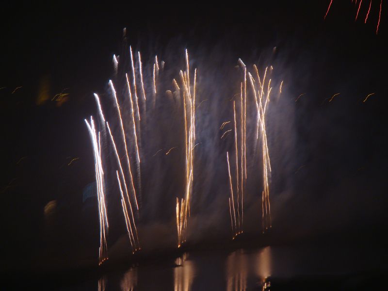 54ead10890e25bc8d0581b5e.jpg