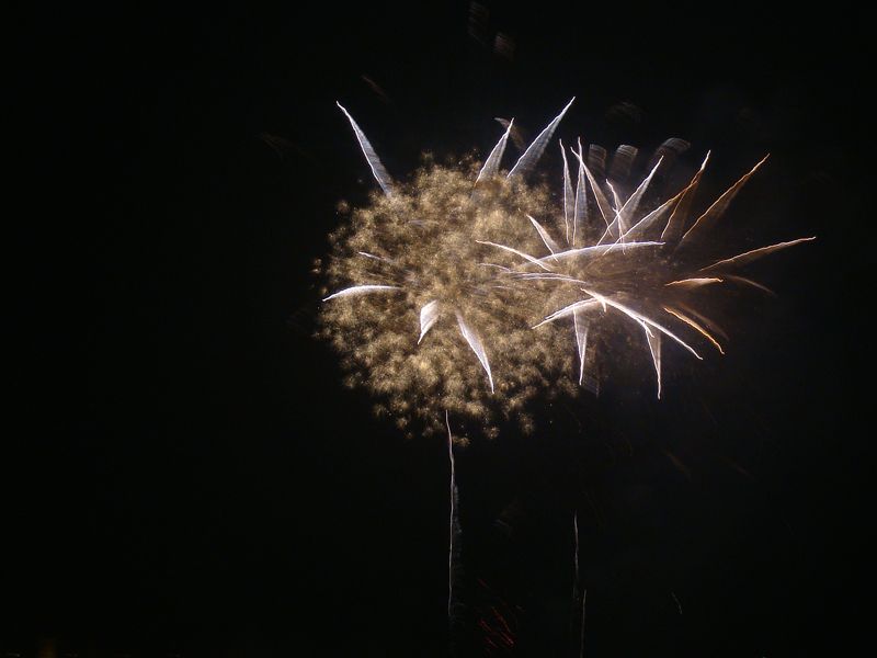 add20c32406a2cb21b4cff49.jpg