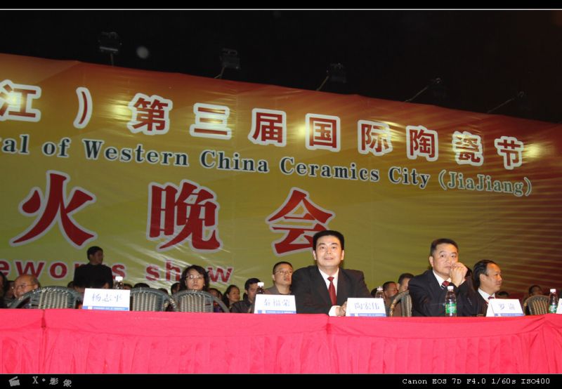 陶瓷节焰火晚会 (2).jpg