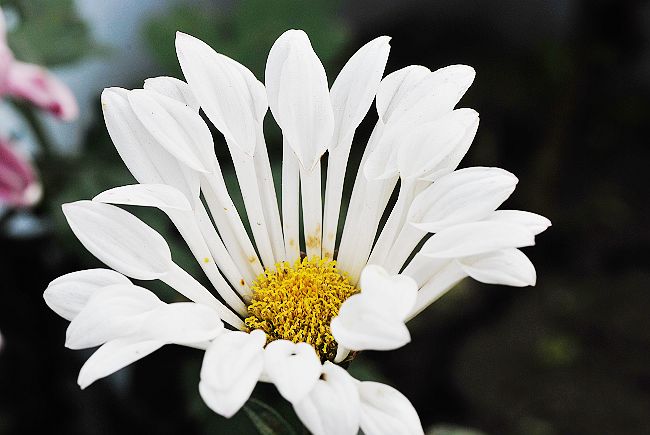 DSC_0011.jpg