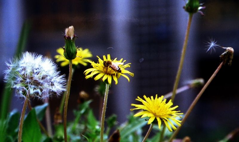 PIC_0140.jpg