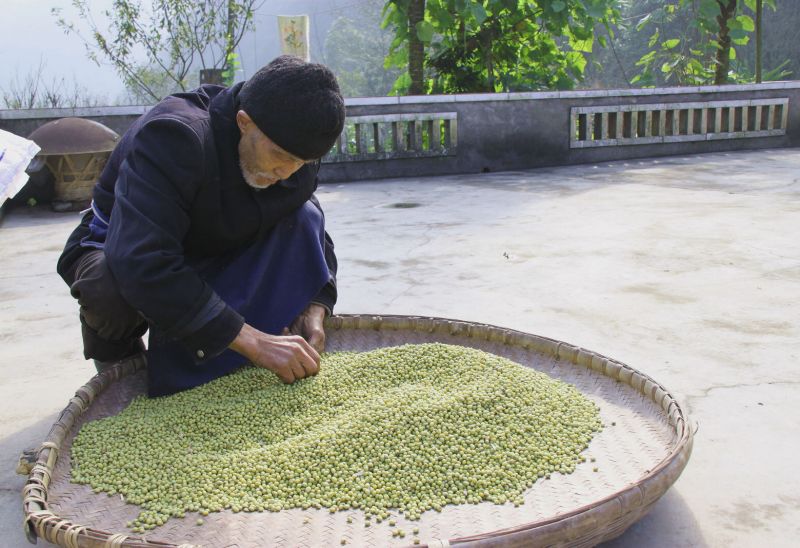 罗大爷在挑选晾晒冬豆.jpg