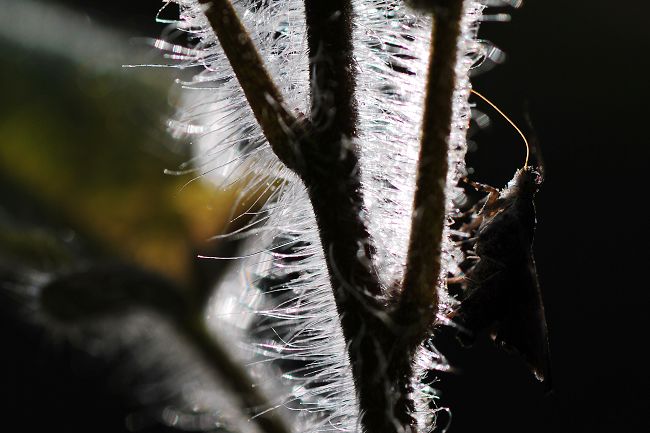 DSC_0246.jpg