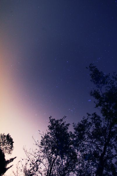 冬夜星野.jpg