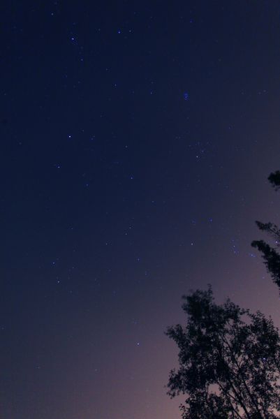 一直没逮到流星.jpg