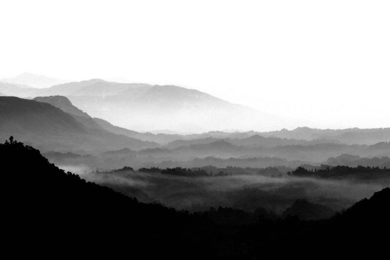 _MG_9289.JPG