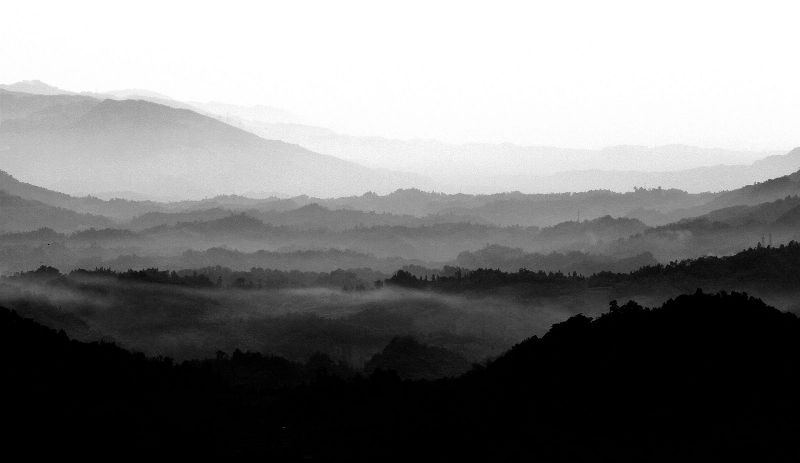 _MG_9292.JPG