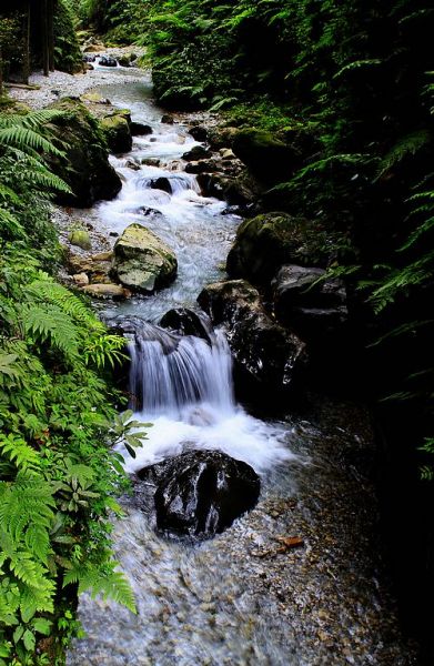 _MG_9623.JPG