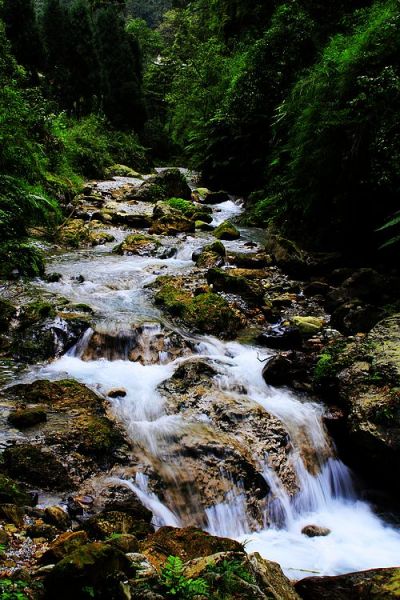 _MG_9628.JPG