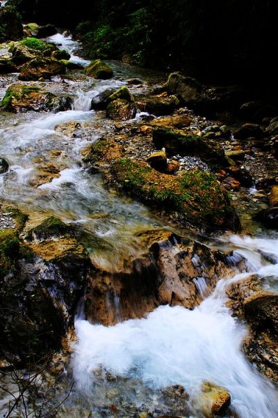 _MG_9630.JPG