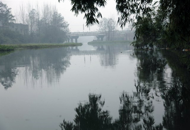 甘江河竹影1.jpg