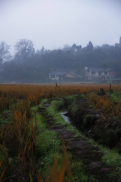 _MG_9582.jpg
