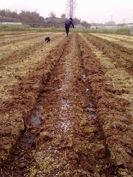20100210062.jpg