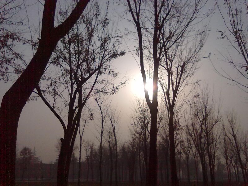 12122010193.jpg