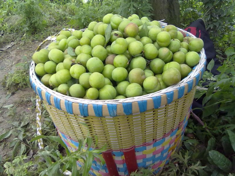 201006071860.jpg