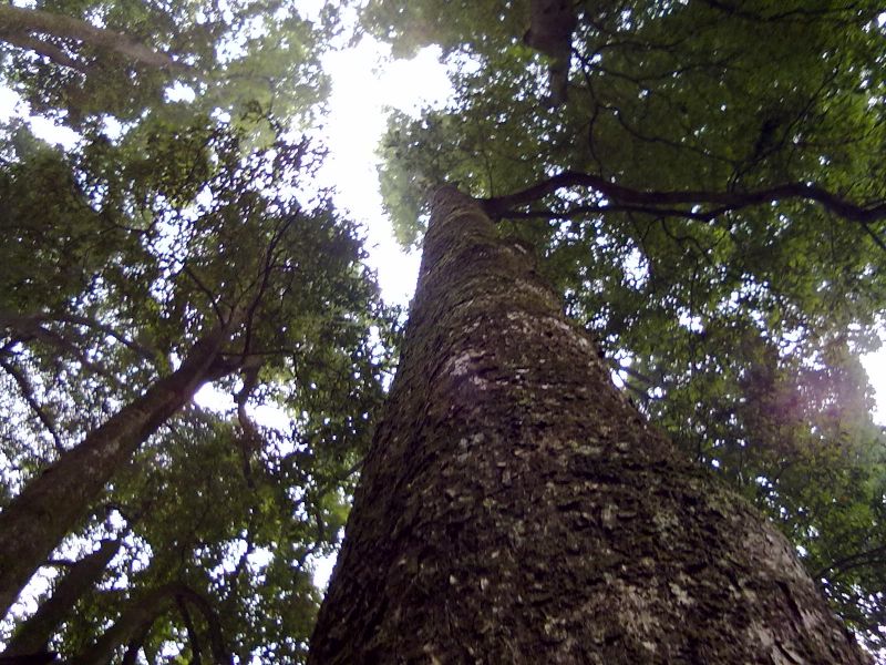复件 (2) 201010082931.jpg