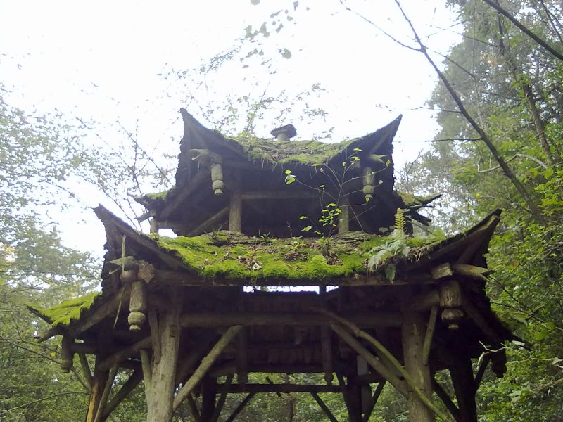 复件 201010082961.jpg