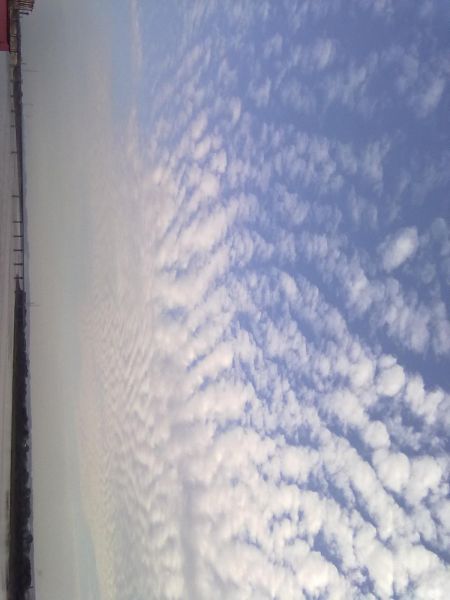 201010022842.jpg