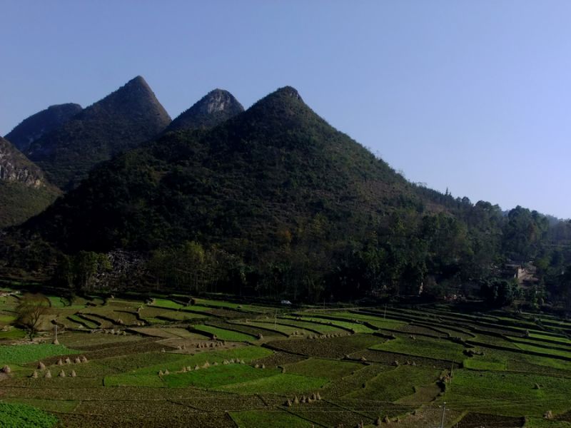 DSCF8698.jpg