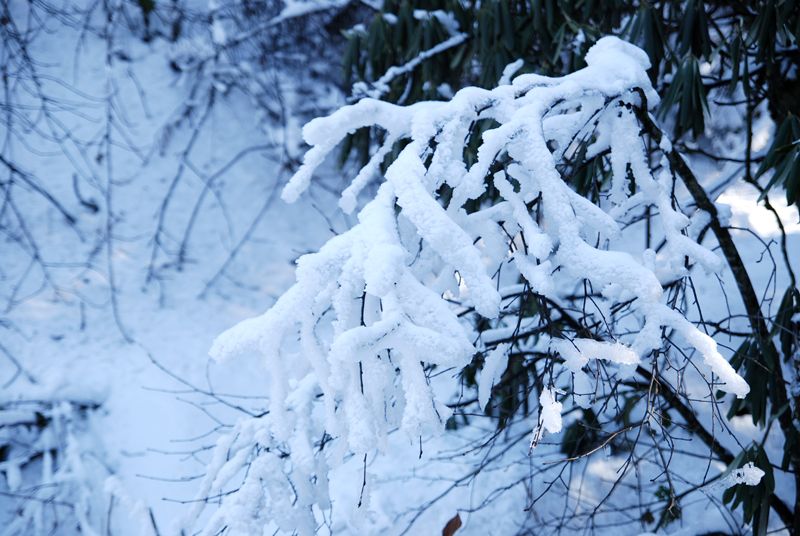 DSC_7804.JPG