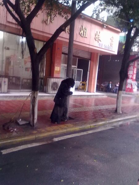 20110110030.jpg