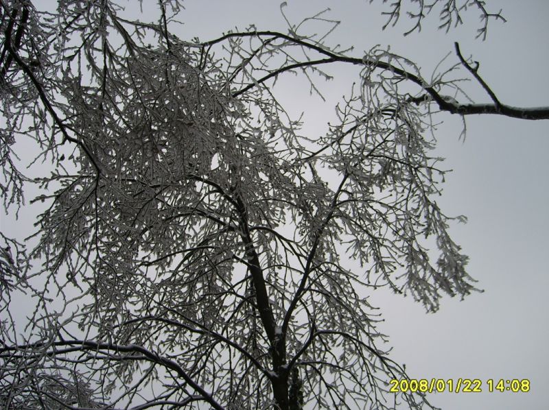 S6001107.JPG