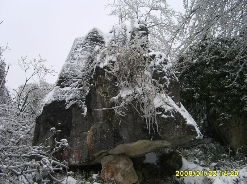 S6001150.JPG