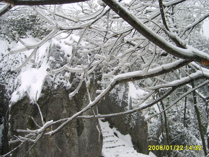 S6001155.JPG