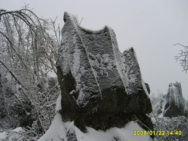 S6001182.JPG