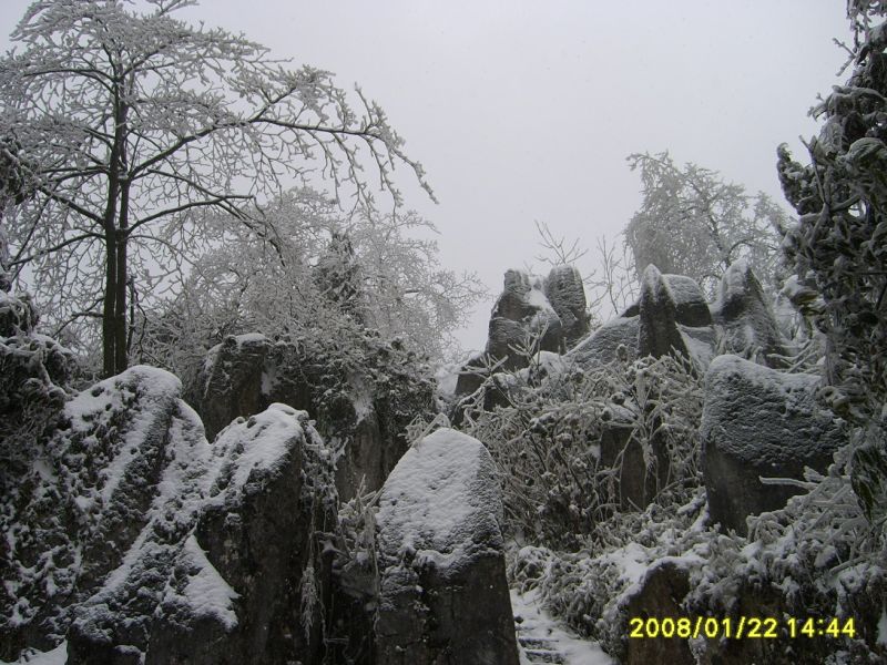 S6001193.JPG