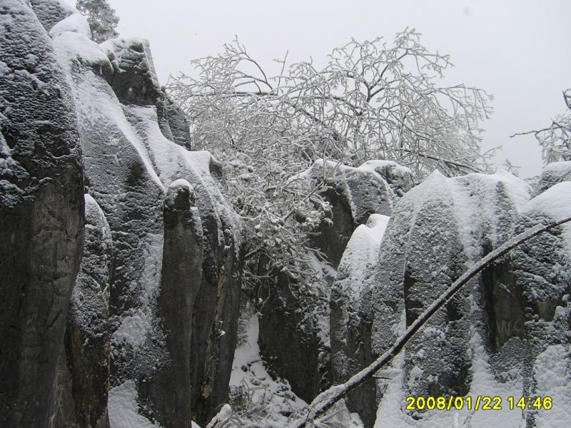 S6001197.JPG