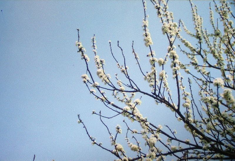 PIC_0194.jpg