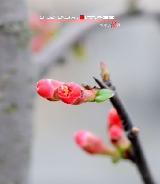 DSC_5039.jpg