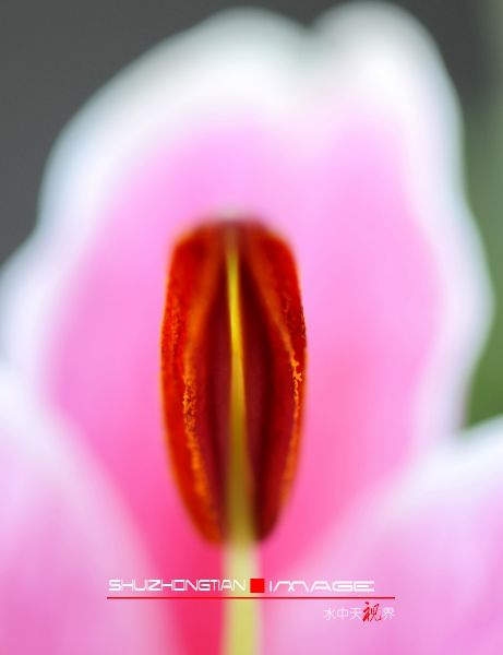 DSC_5075.jpg
