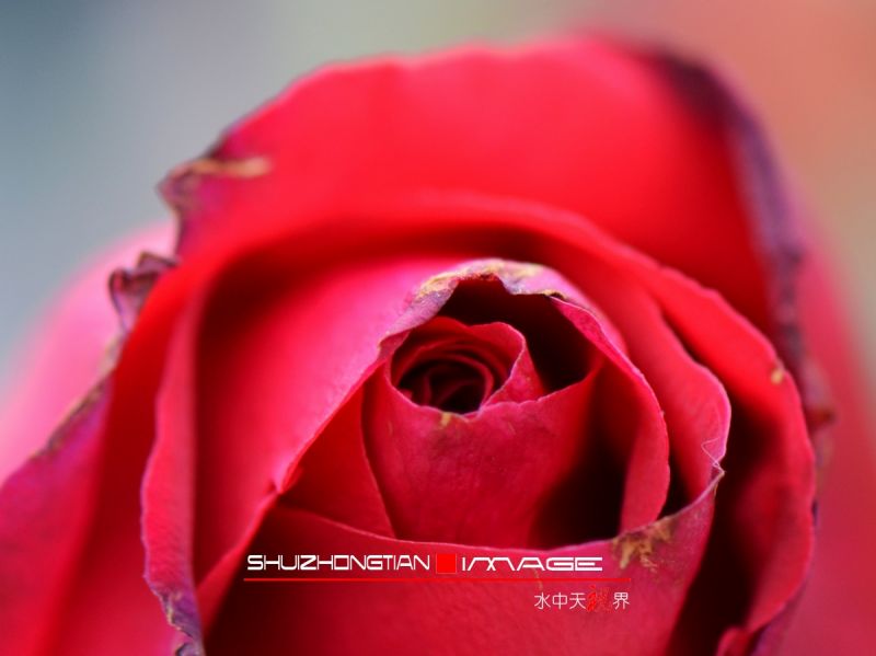 DSC_5111.jpg
