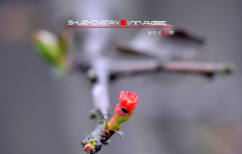 DSC_5115.jpg