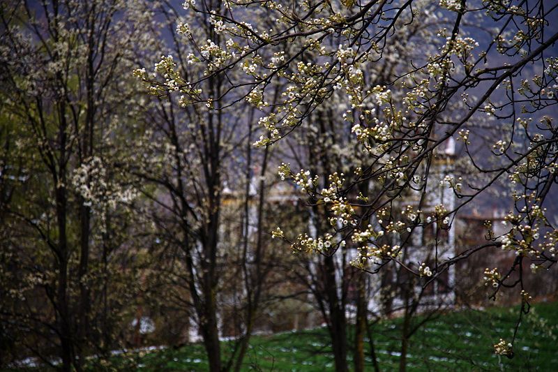 IMG_1634 副本.jpg