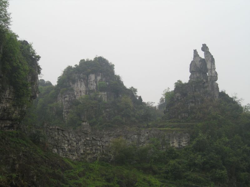 IMG_3767.jpg