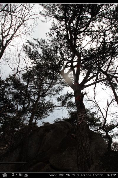 凤凰山 (11).jpg