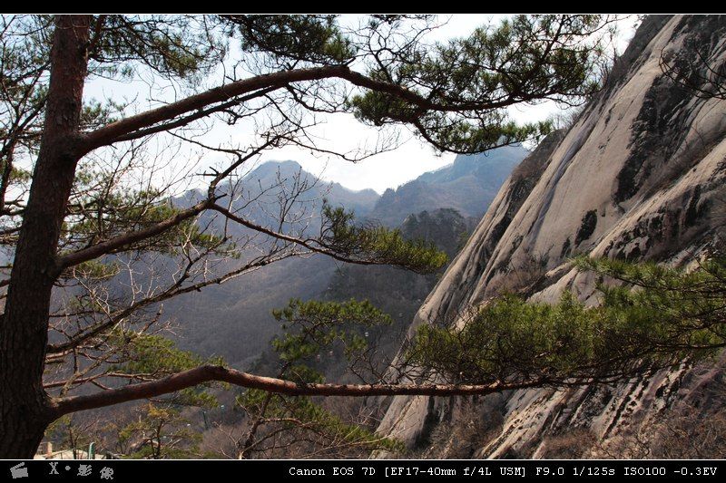 凤凰山 (13).jpg