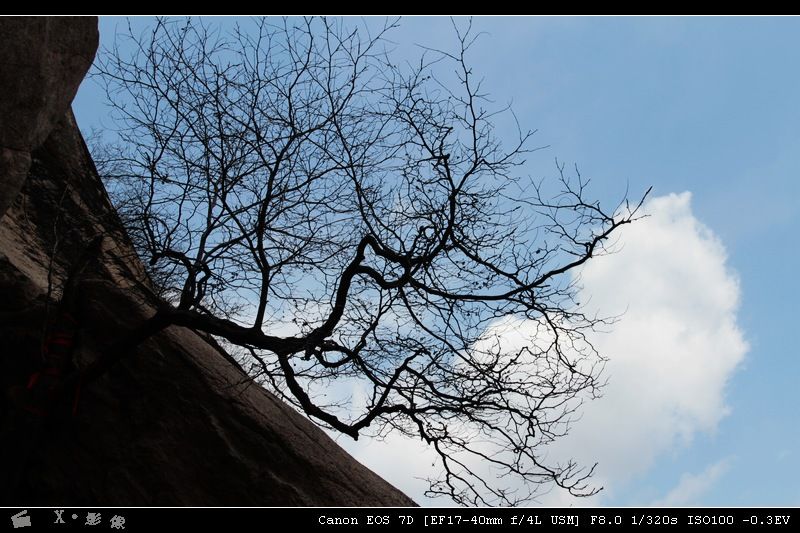 凤凰山 (19).jpg