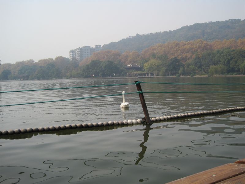 http_imgloadCAC063Y4.jpg