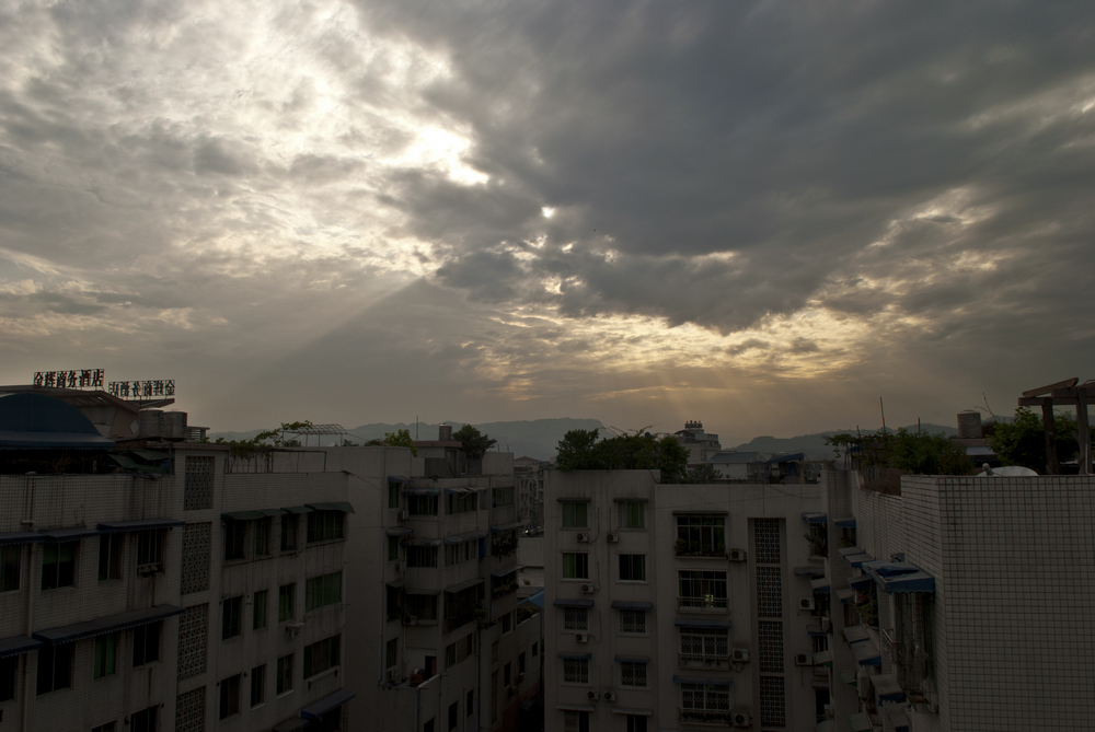 DSC_95411.jpg