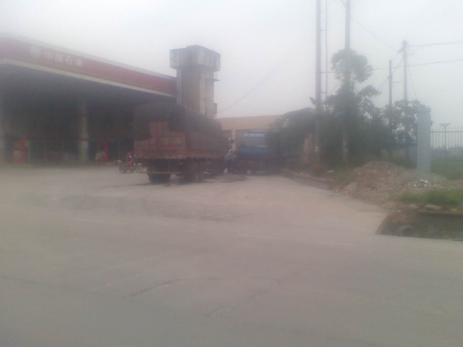 P2305110001.jpg